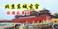 啊大鸡巴肏死我啦好爽骚逼好痒视频中国北京-东城古宫旅游风景区